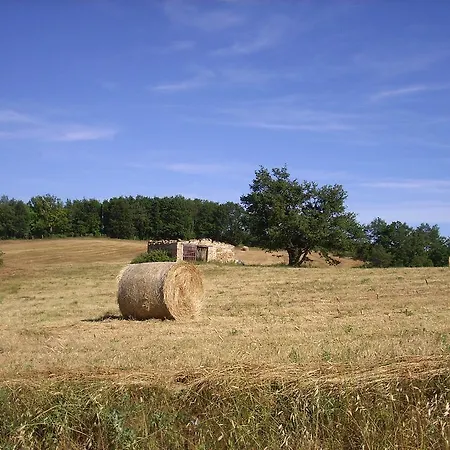 Bio Le Macchie Alte Gospodarstwo agroturystyczne Manciano
