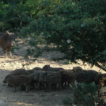 Bio Le Macchie Alte Alloggio per agriturismo *